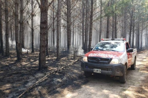 Incendios en la región: Obispos del Nea piden intensificar la oración