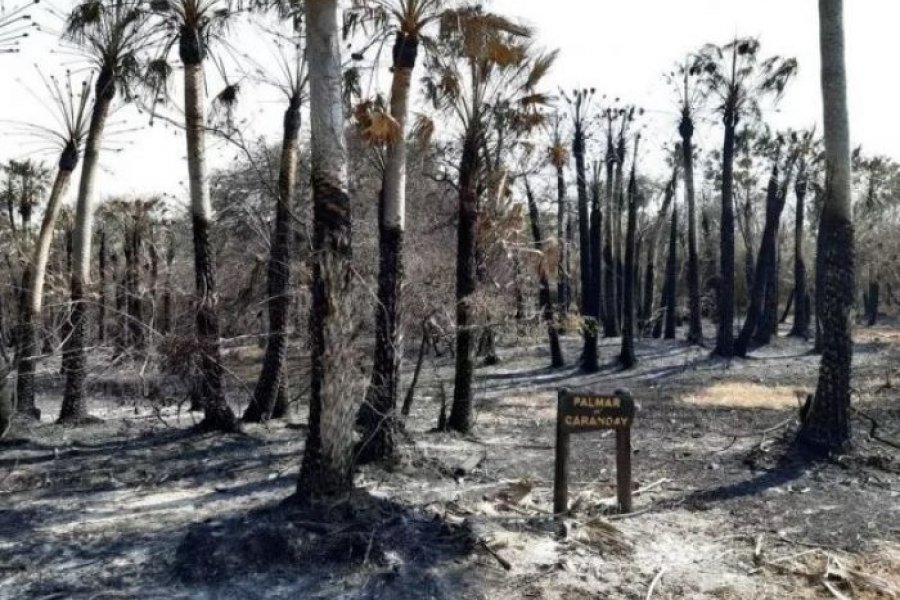 El Parque Provincial San Cayetano reabrió tras el gran incendio