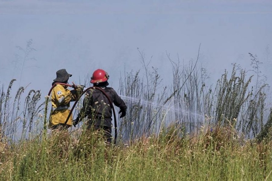 El RENATRE expresa su preocupación ante los incendios en Corrientes