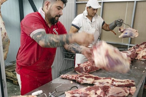 Comienza a regir el acuerdo por la carne: qué cortes y precios incluye
