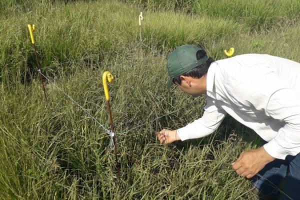 La UNNE cuenta con más de 400 proyectos de investigación vigentes