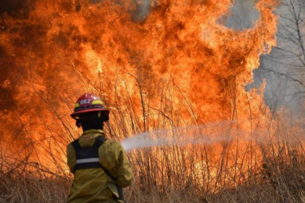 Oficial: El Gobierno provincial declaró emergencia agropecuaria