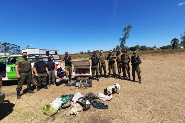 Secuestraron animales faenados y detuvieron a una mujer  en Alvear