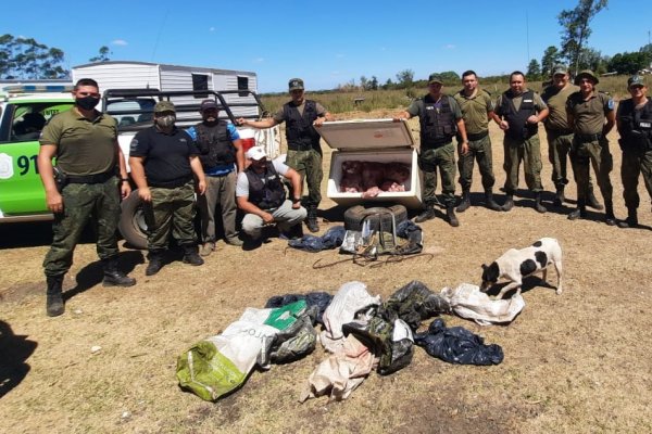 Alvear: Secuestran 200 kilos de carne en el allanamiento a una vivienda