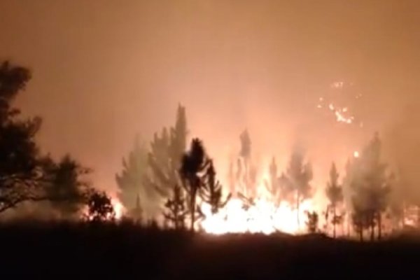 Incendio y drama: Santa Rosa arde desde hace tres días
