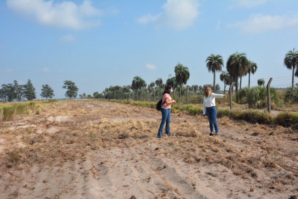 Trabajos de prevención de incendios en el Parque Forestoindustrial Santa Rosa
