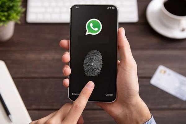 WhatsApp: cómo activar la nueva cámara secreta y pasar desapercibo