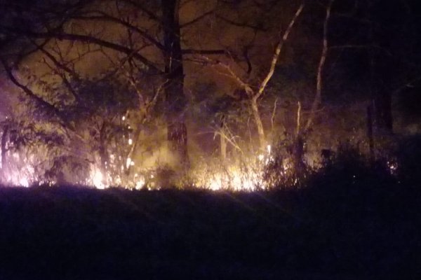 Corrientes otra vez con humo, olor a quemado y cenizas