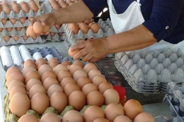 Estiman un aumento del precio de los huevos en torno al 25 por ciento