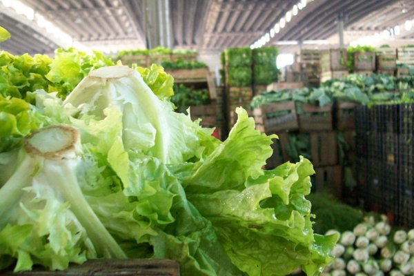 El kilo de lechuga ya se vende a $1.000 en Corrientes