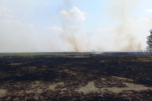 El incendio arrasó con un campo del INTA