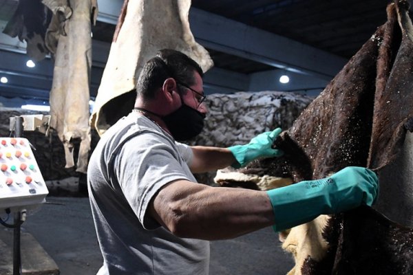 La industria continúa su recuperación y el empleo del sector superó el nivel previo a la pandemia