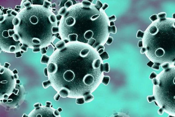 Qué son las nanoburbujas naturales que podrían bloquear la infección por coronavirus