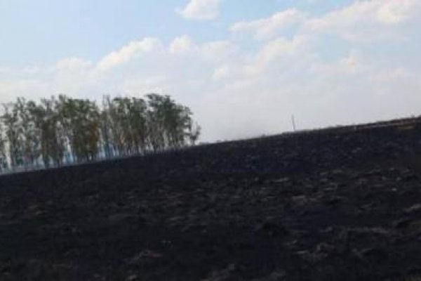 El Inta perdió casi la totalidad de una estación experimental en Corrientes