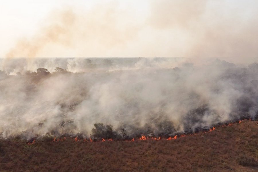 Según el Ministerio de Ambiente, los incendios en Corrientes fueron controlados