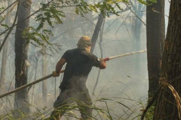 Continúan los focos de incendios en el interior