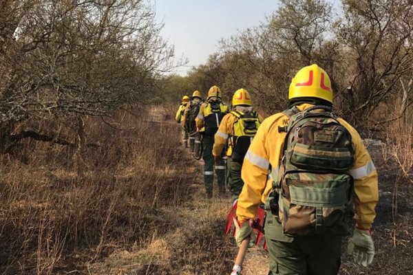 Afectados por incendios: No se sabe aún cómo será tramitar beneficios