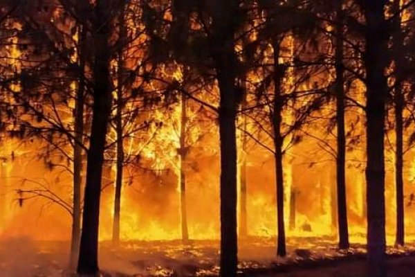 Impactantes imágenes de un pueblo correntino rodeado por el fuego