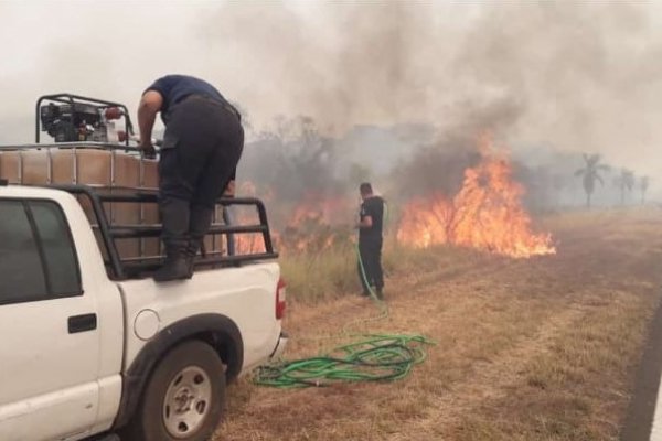 Incendios: Qué pasará con el megaaserradero austríaco que prometió Valdés