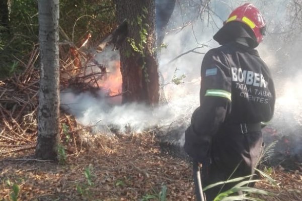 Corrientes multiplica acciones para controlar los incendios