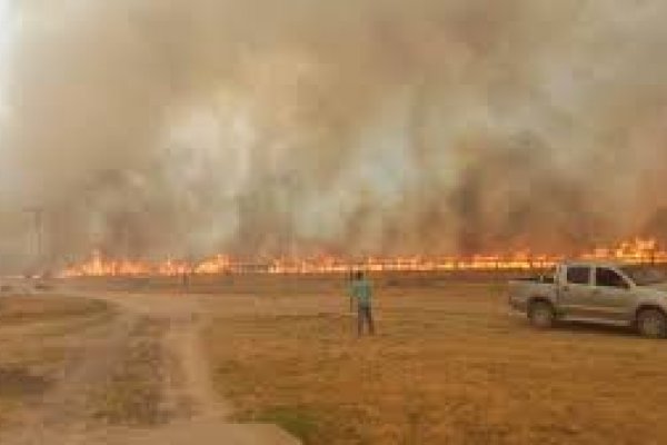 Lanzan créditos para productores correntinos afectados por incendios y sequía