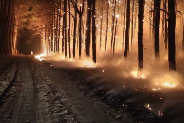 Incendios: Más de 3 mil hectáreas ardieron en San Miguel