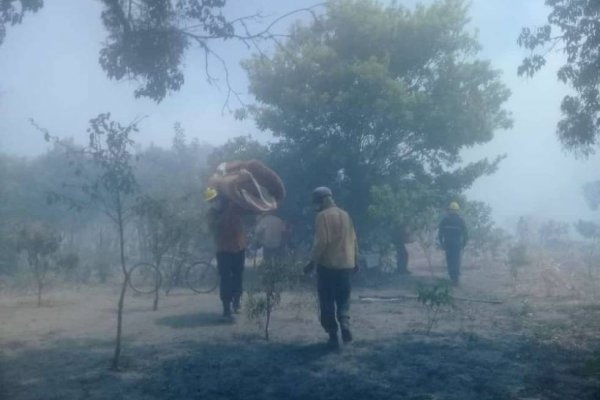 Amenazaron a bomberos mientras combatían un incendio