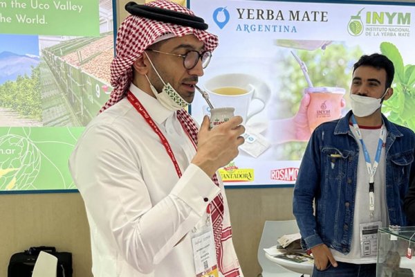 De Argentina a Medio Oriente: Crece el interés por la yerba mate nacional