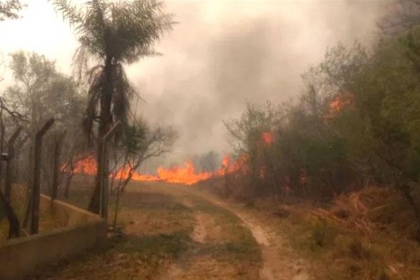 Fuego y sequía devastan Corrientes