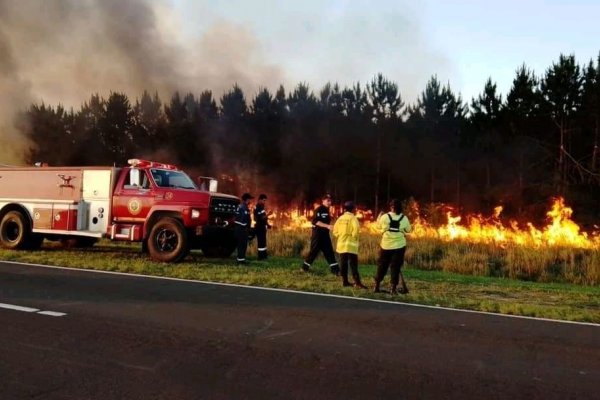Nuevos focos: Intensa lucha para combatir el fuego en Corrientes