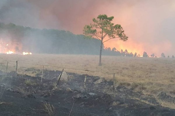 Corrientes: Un foco de incendio lleva 15 días ardiendo
