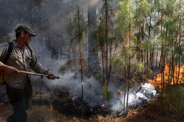 Defensa construyó una plataforma virtual para gestionar emergencias como los incendios de Corrientes