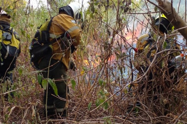 Combatieron nuevos incendios en islas de Entre Ríos y Santa Fe