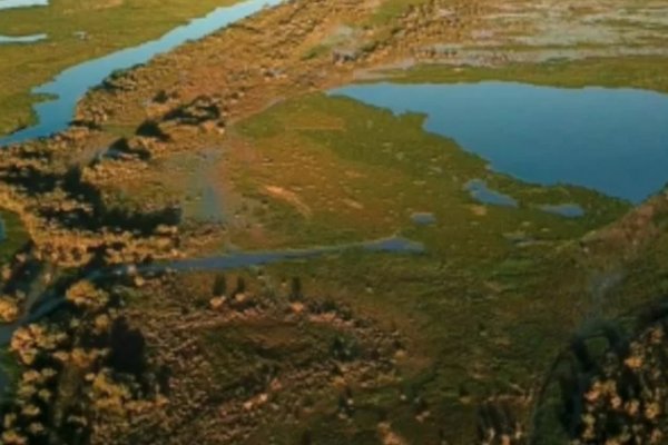 Bañaba a sus caballos, se resbaló y murió ahogado