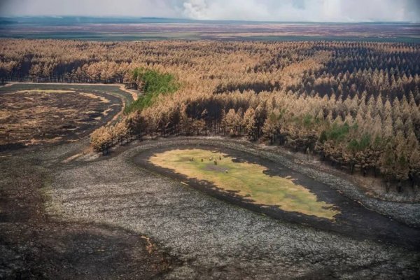 Una chispa de un tractor habría originado el incendio en los Esteros del Iberá