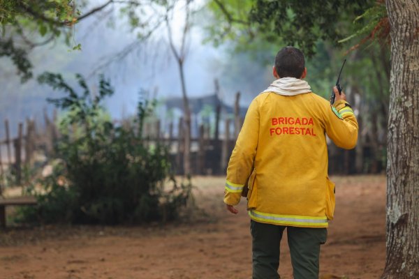 El viento complica la situación de los incendios en Santo Tomé