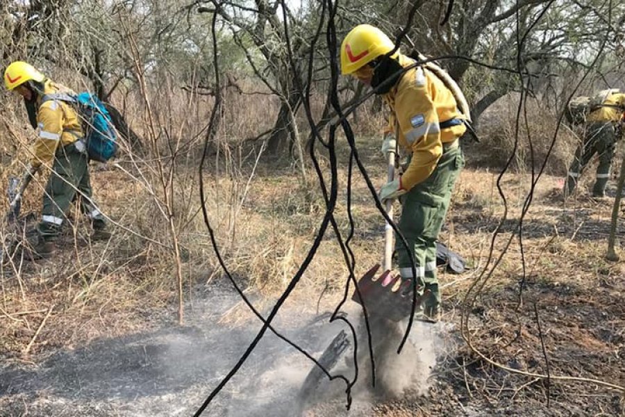 Incendios en Corrientes: Defensa Civil pide picadillo para bomberos
