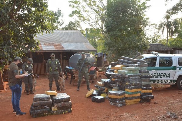 Misiones: Gendarmería secuestro 1.962 kilos de marihuana