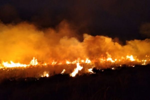 Incendios: Valdés informó que en enero estuvo a cargo de la provincia Braillard Poccard