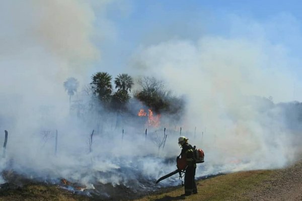 Incendios en Corrientes: en la UNNE se reciben donaciones para bomberos
