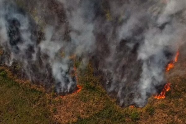 Por los incendios, Fiscales investigan 75 denuncias penales