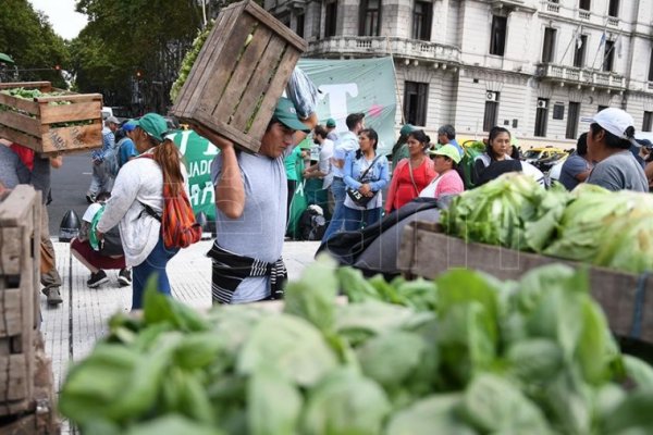 Frutas y verduras: el Gobierno creará un fideicomiso para estabilizar los precios