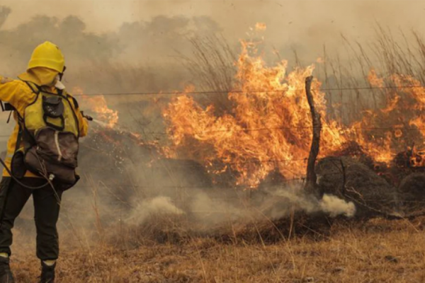 Desde La Rioja donaron alimentos para los afectados por los incendios