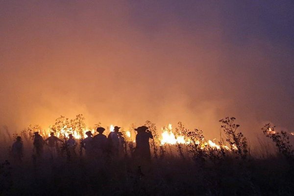 Cáritas Argentina presente en los incendios de Corrientes