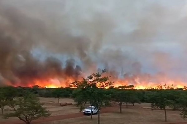 Portal Laguna Iberá: Cierran los senderos por focos activos