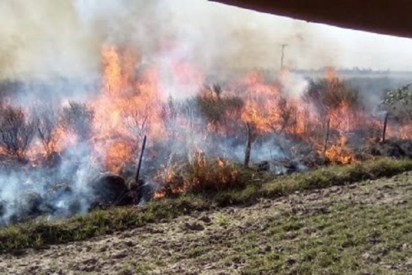En Corrientes las llamas siguen afectando varios puntos