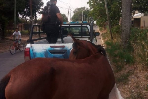 Atraparon a un jinete con pedido de captura en Corrientes