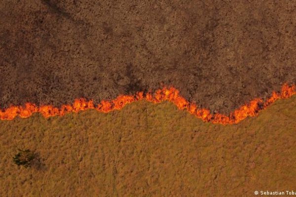 Bolivia envía militares para mitigar incendios en Argentina