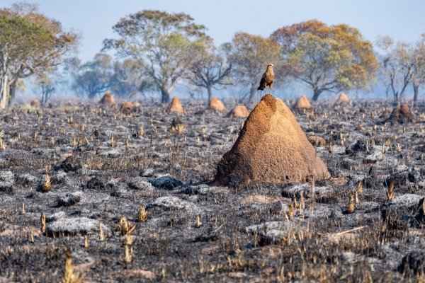 Iberá: El Gobierno de Corrientes paga publicidad por $50 millones