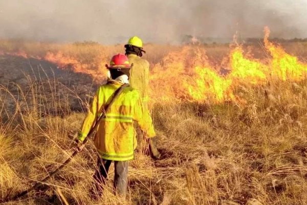 Corrientes: Diputados nacionales rechazaron más de $3 mil millones contra incendios